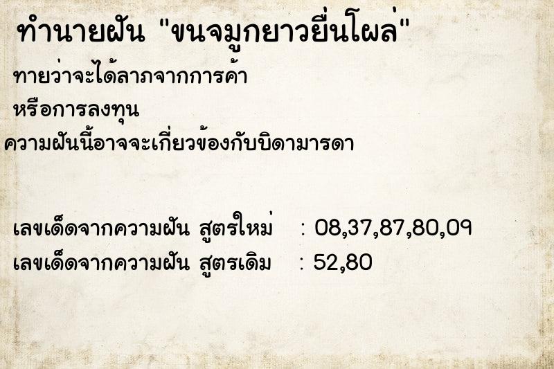 ทำนายฝันขนจมูกยาวยื่นโผล่ ทำนายฝันทำนายฝันขนจมูกยาวยื่นโผล่