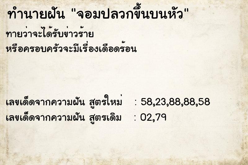 ทำนายฝันทำนายฝันจอมปลวกขึ้นบนหัว