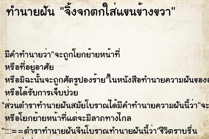 ทำนายฝัน จิ้งจกตกใส่แขนข้างขวา ตำราโบราณ แม่นที่สุดในโลก