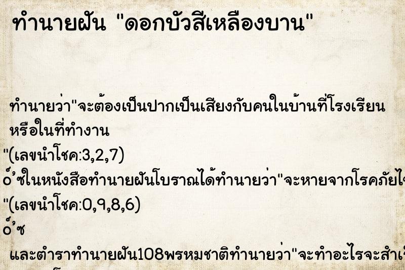 ทำนายฝัน ดอกบัวสีเหลืองบาน ทำนายฝัน ดอกบัวสีเหลืองบาน
