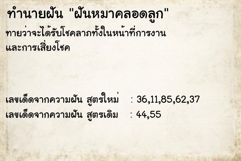 ทำนายฝัน ฝันหมาคลอดลูก