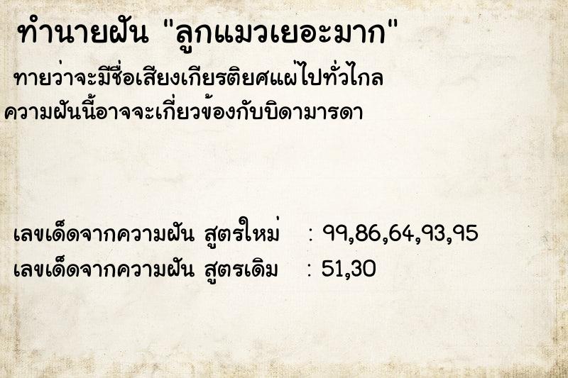 ทำนายฝันลูกแมวเยอะมาก ทำนายฝันทำนายฝันลูกแมวเยอะมาก