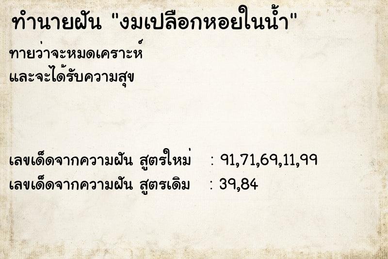 ทำนายฝันงมเปลือกหอยในน้ำ ทำนายฝันทำนายฝันงมเปลือกหอยในน้ำ