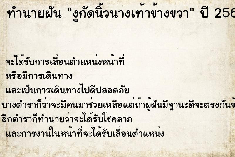ทำนายฝันงูกัดนิ้วนางเท้าข้างขวา ทำนายฝันทำนายฝันงูกัดนิ้วนางเท้าข้างขวา
