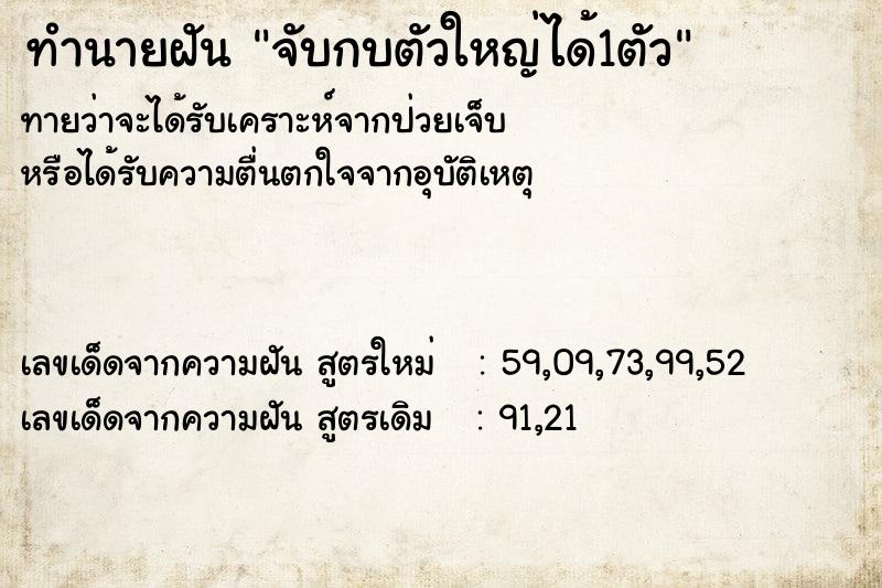 ทำนายฝันทำนายฝันจับกบตัวใหญ่ได้1ตัว
