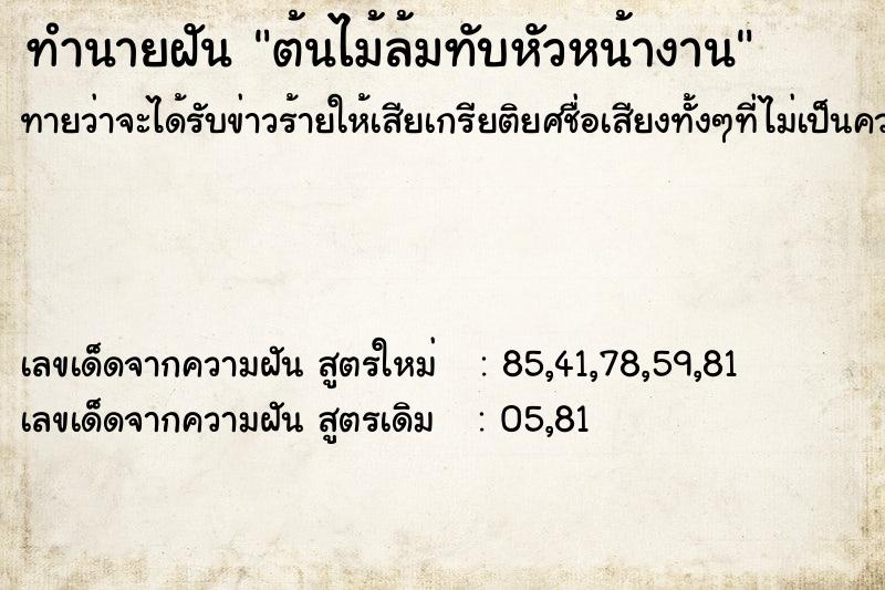 ทำนายฝันต้นไม้ล้มทับหัวหน้างาน ทำนายฝันทำนายฝันต้นไม้ล้มทับหัวหน้างาน