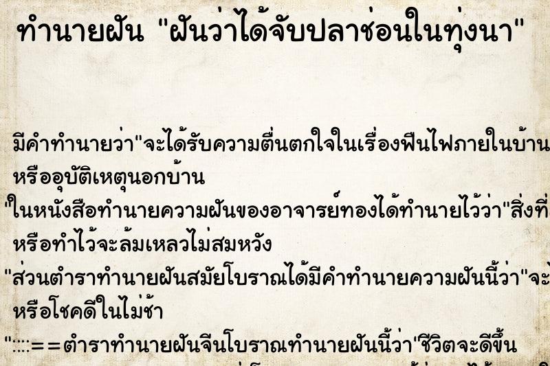ทำนายฝันฝันว่าได้จับปลาช่อนในทุ่งนา ทำนายฝันทำนายฝันฝันว่าได้จับปลาช่อนในทุ่งนา