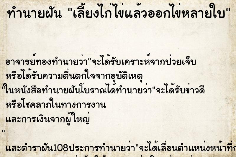 ทำนายฝันเลี้ยงไก่ไข่แล้วออกไข่หลายใบ ทำนายฝันทำนายฝันเลี้ยงไก่ไข่แล้วออกไข่หลายใบ