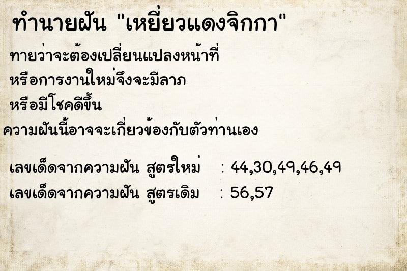 ทำนายฝันทำนายฝันเหยี่ยวแดงจิกกา