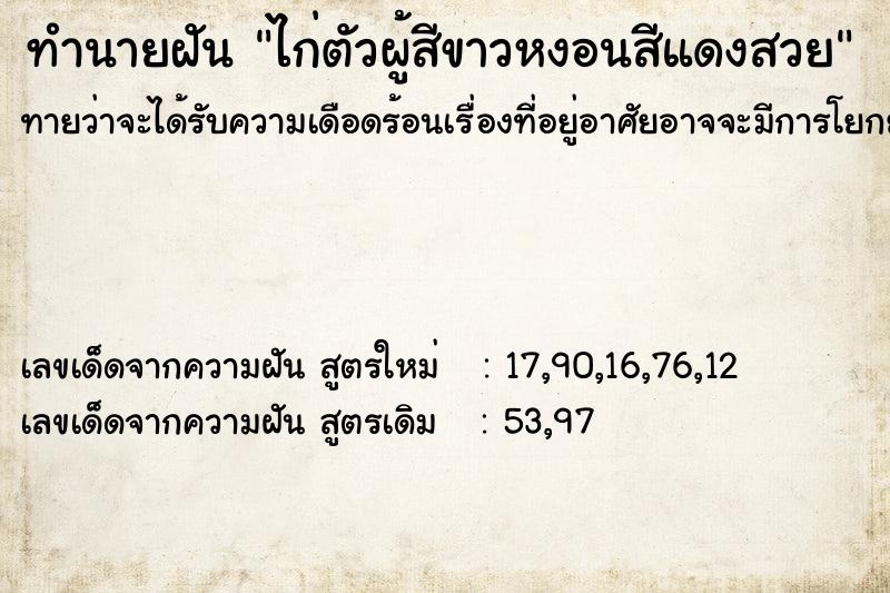 ทำนายฝันไก่ตัวผู้สีขาวหงอนสีแดงสวย ทำนายฝันทำนายฝันไก่ตัวผู้สีขาวหงอนสีแดงสวย