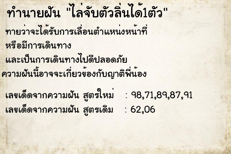 ทำนายฝันทำนายฝันไล่จับตัวลิ่นได้1ตัว