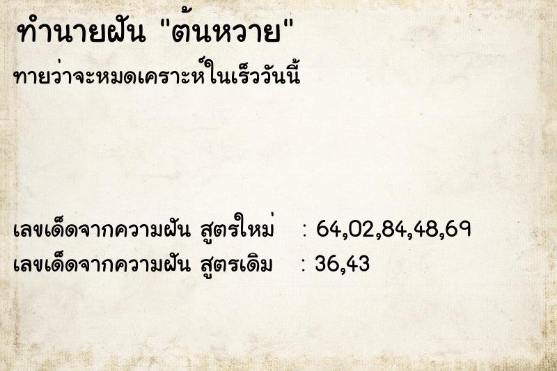 ทำนายฝันต้นหวาย ทำนายฝันทำนายฝันต้นหวาย
