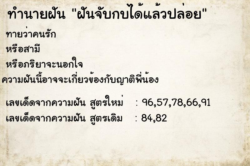 ทำนายฝันฝันจับกบได้แล้วปล่อย ทำนายฝันทำนายฝันฝันจับกบได้แล้วปล่อย