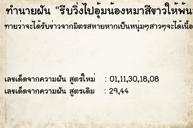 ทำนายฝันรีบวิ่งไปอุ้มน้องหมาสีขาวให้พ้นอันตราย ทำนายฝันทำนายฝันรีบวิ่งไปอุ้มน้องหมาสีขาวให้พ้นอันตราย