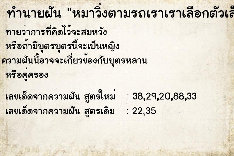 ทำนายฝันหมาวิ่งตามรถเราเราเลือกตัวเล็กขึ้นรถ ทำนายฝันทำนายฝันหมาวิ่งตามรถเราเราเลือกตัวเล็กขึ้นรถ