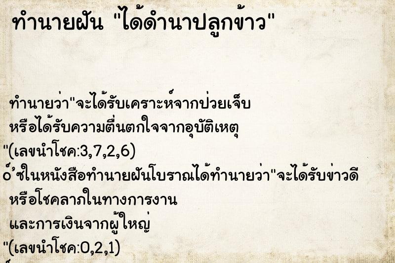 ทำนายฝันทำนายฝันได้ดำนาปลูกข้าว