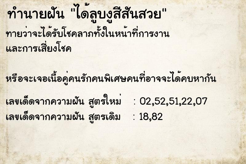 ทำนายฝันได้ลูบงูสีสันสวย ทำนายฝันทำนายฝันได้ลูบงูสีสันสวย