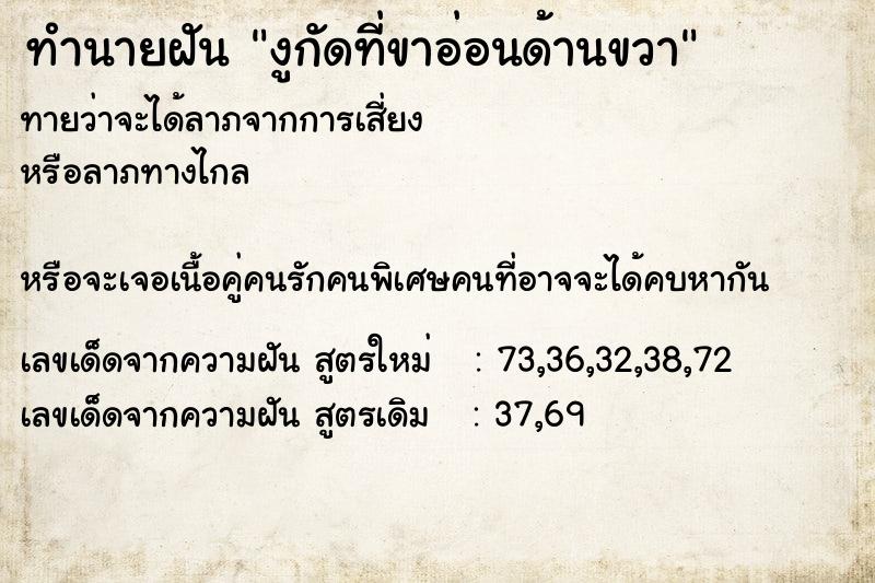 ทำนายฝันงูกัดที่ขาอ่อนด้านขวา ทำนายฝันทำนายฝันงูกัดที่ขาอ่อนด้านขวา