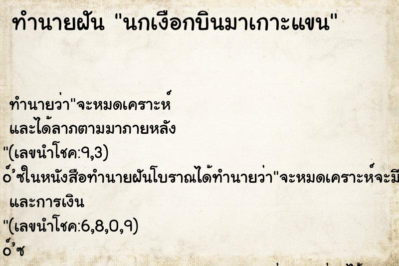 ทำนายฝันทำนายฝันนกเงือกบินมาเกาะแขน