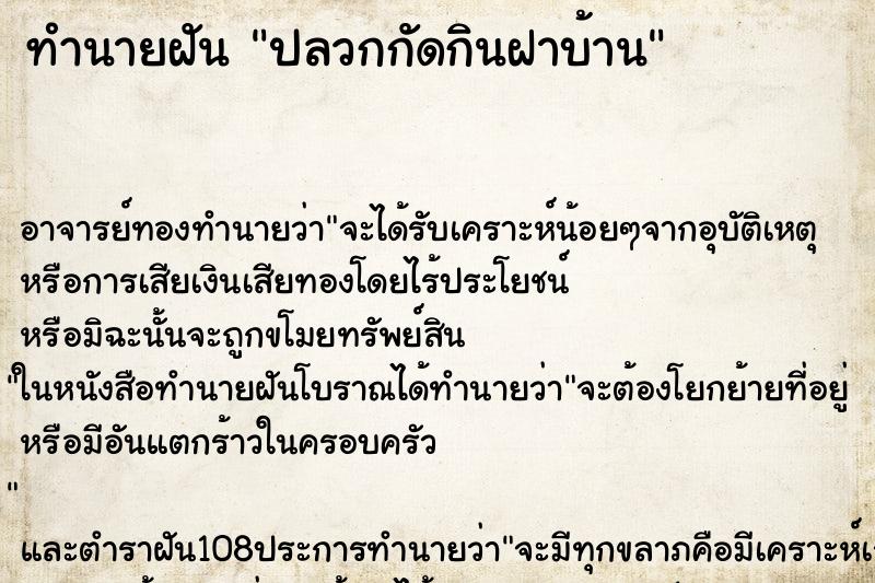 ทำนายฝัน ปลวกกัดกินฝาบ้าน ทำนายฝัน ปลวกกัดกินฝาบ้าน