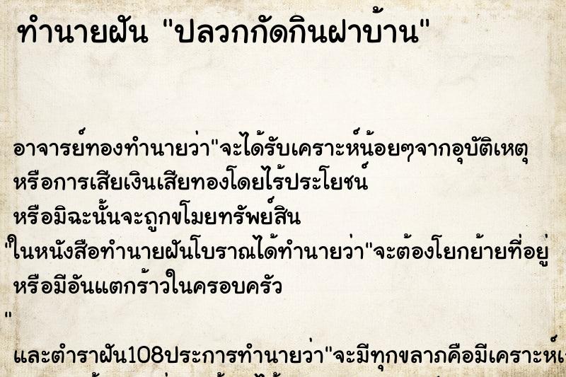 ทำนายฝัน ปลวกกัดกินฝาบ้าน ตำราโบราณ แม่นที่สุดในโลก