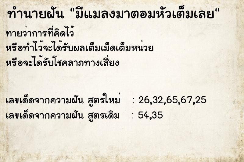 ทำนายฝัน มีแมลงมาตอมหัวเต็มเลย ทำนายฝัน มีแมลงมาตอมหัวเต็มเลย