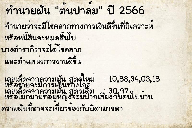 ทำนายฝัน ต้นปาล์ม ทำนายฝัน ต้นปาล์ม