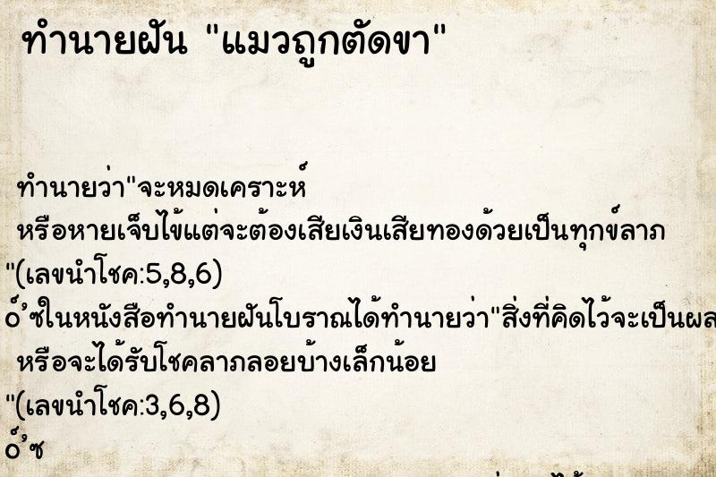 ทำนายฝันแมวถูกตัดขา ทำนายฝันทำนายฝันแมวถูกตัดขา