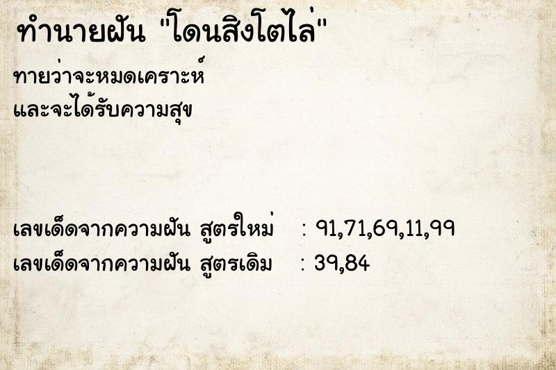 ทำนายฝัน โดนสิงโตไล่ ทำนายฝัน โดนสิงโตไล่