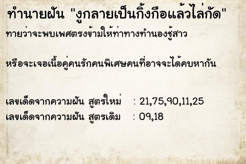 ทำนายฝันงูกลายเป็นกิ้งกือแล้วไล่กัด ทำนายฝันทำนายฝันงูกลายเป็นกิ้งกือแล้วไล่กัด