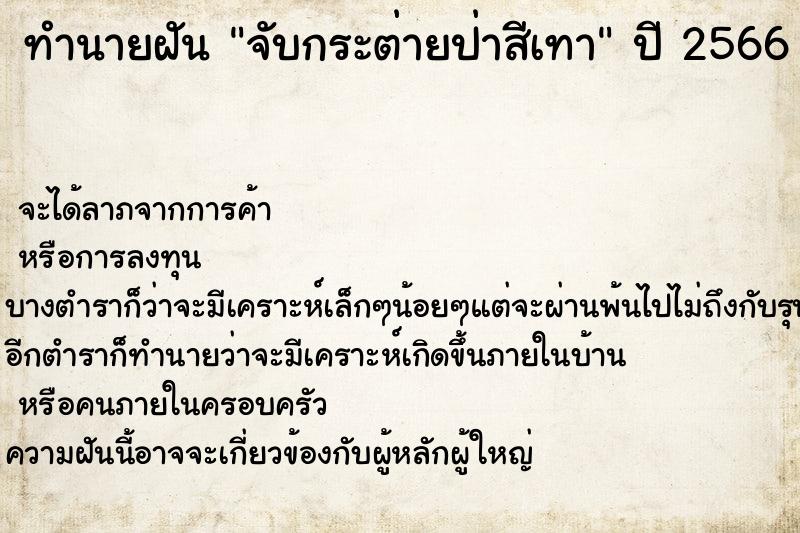 ทำนายฝันจับกระต่ายป่าสีเทา ทำนายฝันทำนายฝันจับกระต่ายป่าสีเทา