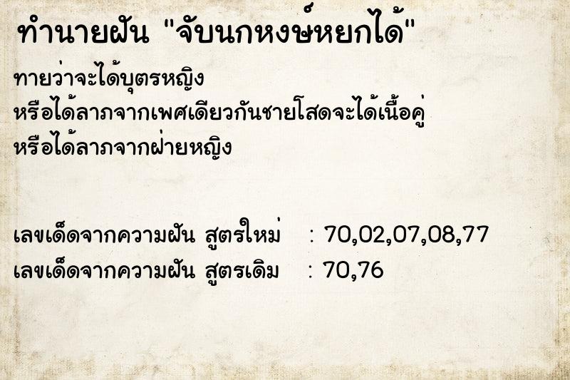 ทำนายฝันทำนายฝันจับนกหงษ์หยกได้