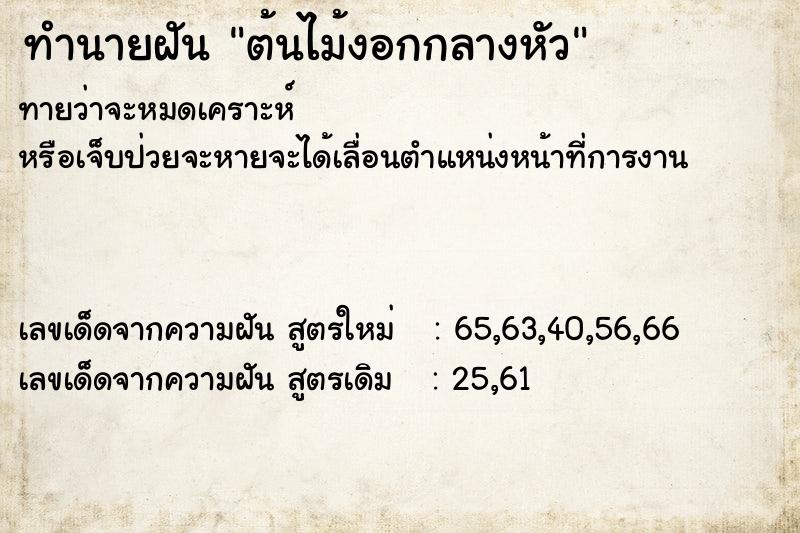 ทำนายฝัน ต้นไม้งอกกลางหัว