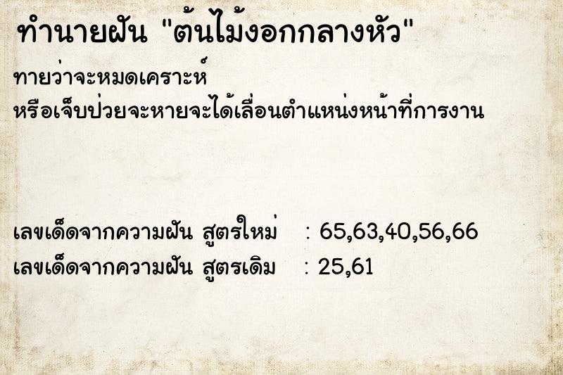 ทำนายฝัน ต้นไม้งอกกลางหัว ตำราโบราณ แม่นที่สุดในโลก