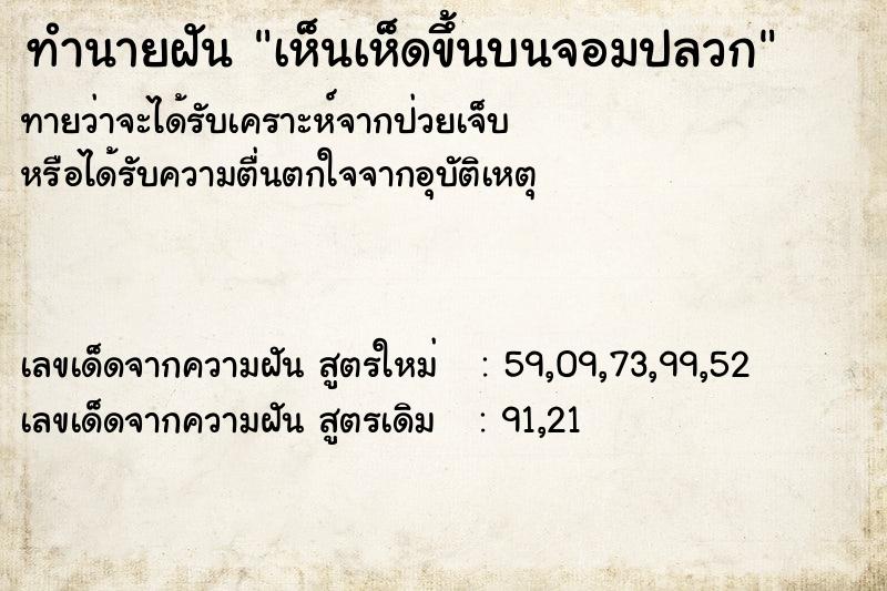 ทำนายฝันเห็นเห็ดขึ้นบนจอมปลวก ทำนายฝันทำนายฝันเห็นเห็ดขึ้นบนจอมปลวก