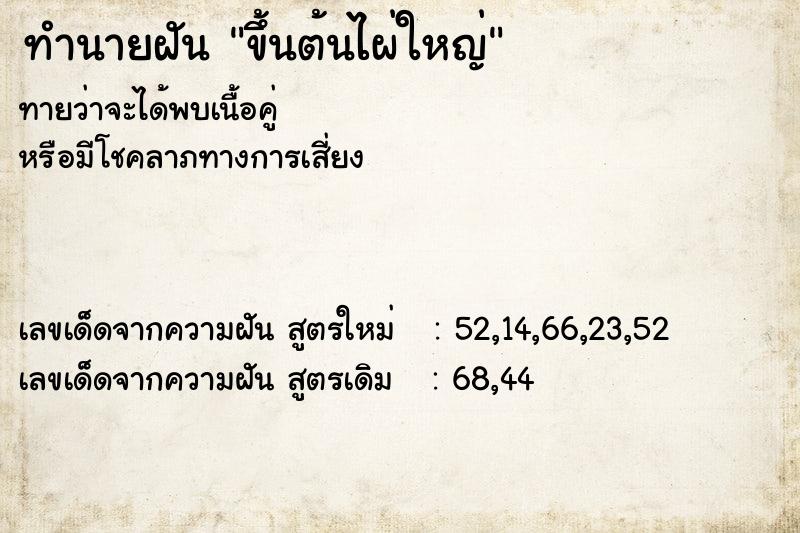 ทำนายฝันขึ้นต้นไผ่ใหญ่ ทำนายฝันทำนายฝันขึ้นต้นไผ่ใหญ่