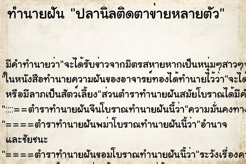 ทำนายฝัน ปลานิลติดตาข่ายหลายตัว ทำนายฝัน ปลานิลติดตาข่ายหลายตัว