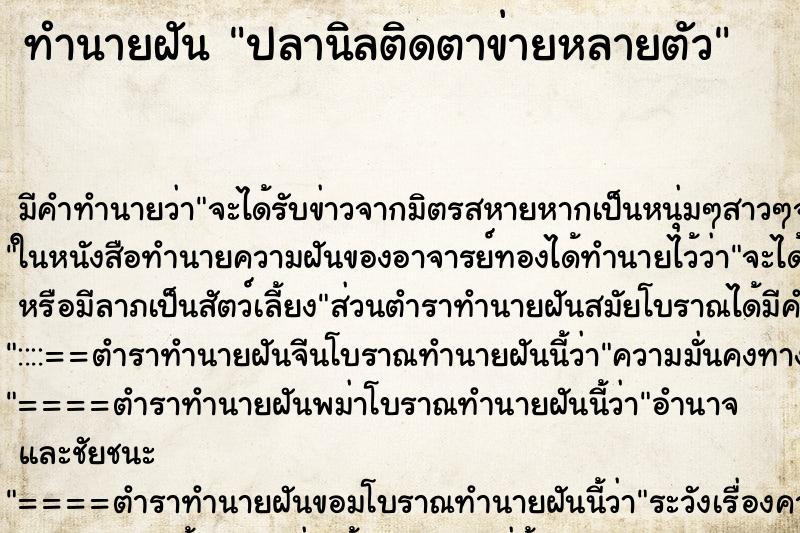 ทำนายฝัน ปลานิลติดตาข่ายหลายตัว ตำราโบราณ แม่นที่สุดในโลก