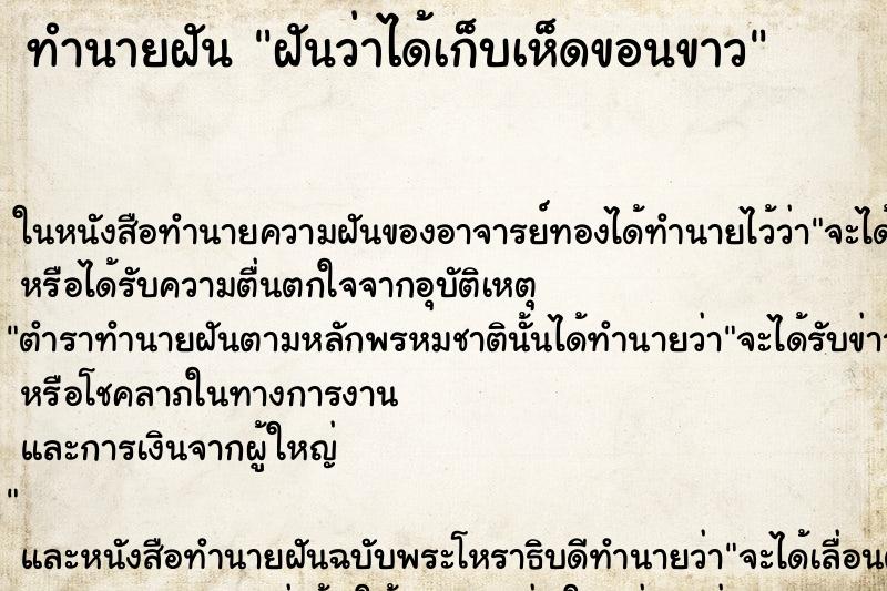ทำนายฝันฝันว่าได้เก็บเห็ดขอนขาว ทำนายฝันทำนายฝันฝันว่าได้เก็บเห็ดขอนขาว