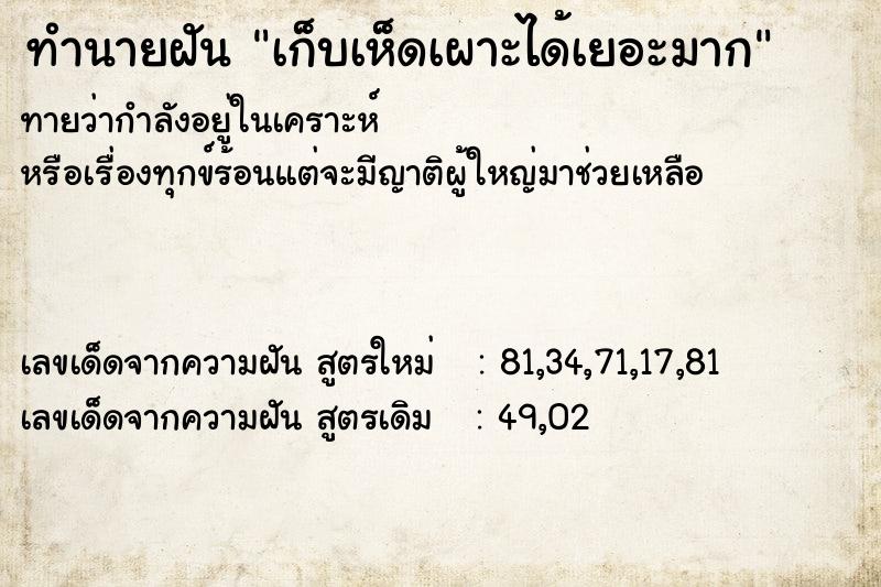 ทำนายฝัน เก็บเห็ดเผาะได้เยอะมาก ทำนายฝัน เก็บเห็ดเผาะได้เยอะมาก