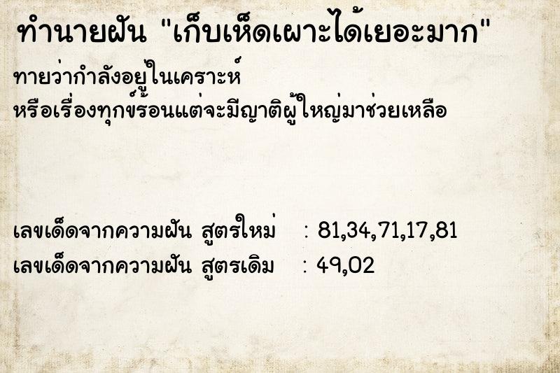 ทำนายฝัน เก็บเห็ดเผาะได้เยอะมาก ตำราโบราณ แม่นที่สุดในโลก