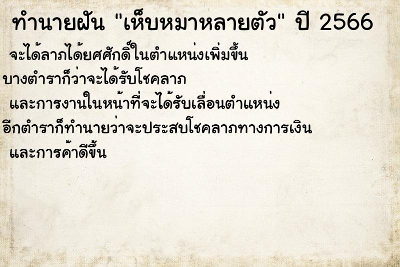ทำนายฝัน เห็บหมาหลายตัว ทำนายฝัน เห็บหมาหลายตัว