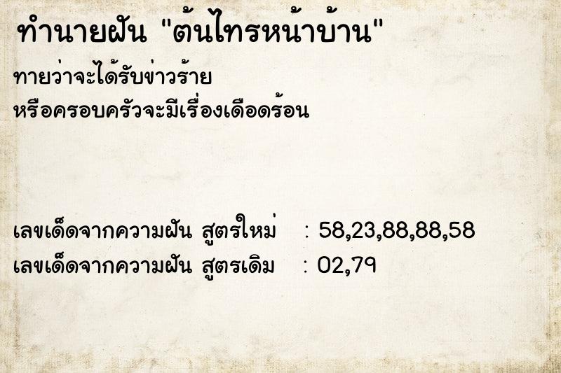 ทำนายฝันต้นไทรหน้าบ้าน ทำนายฝันทำนายฝันต้นไทรหน้าบ้าน