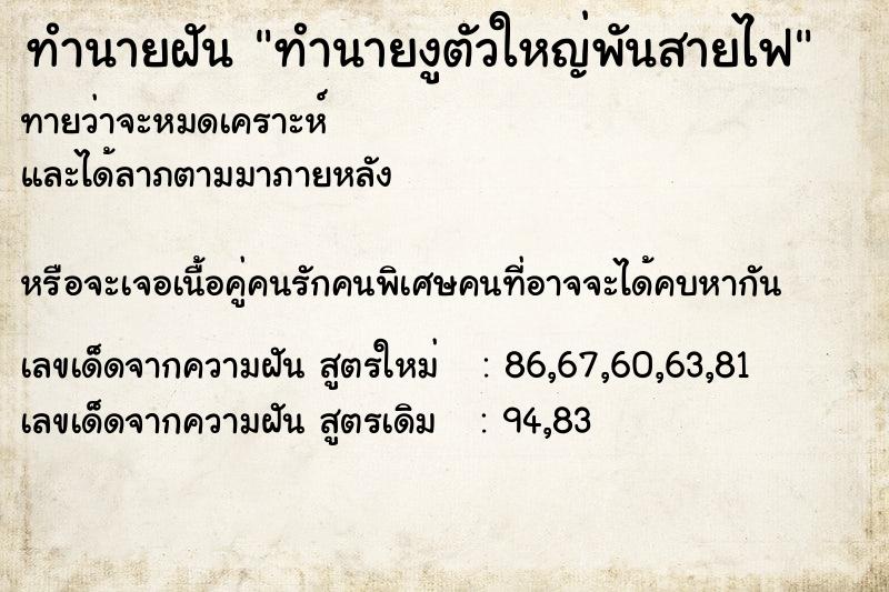 ทำนายฝันทำนายงูตัวใหญ่พันสายไฟ ทำนายฝันทำนายฝันทำนายงูตัวใหญ่พันสายไฟ