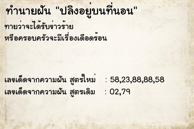 ทำนายฝันปลิงอยู่บนที่นอน ทำนายฝันทำนายฝันปลิงอยู่บนที่นอน
