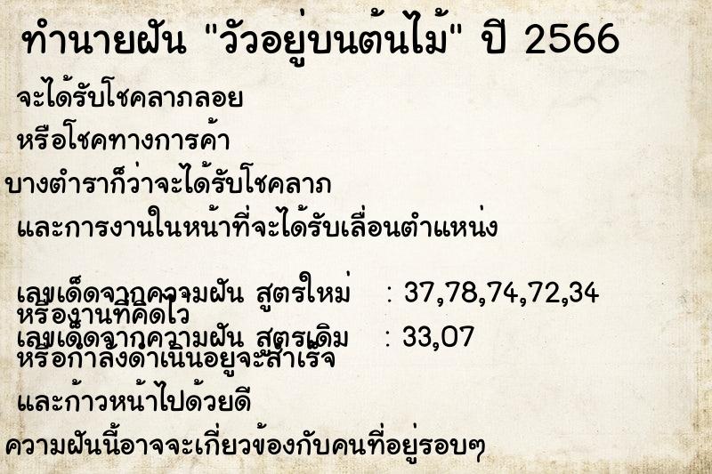ทำนายฝัน วัวอยู่บนต้นไม้ ทำนายฝัน วัวอยู่บนต้นไม้