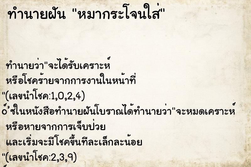 ทำนายฝันหมากระโจนใส่ ทำนายฝันทำนายฝันหมากระโจนใส่