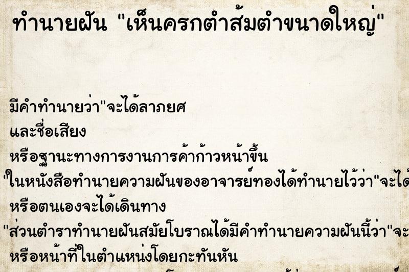 ทำนายฝัน เห็นครกตำส้มตำขนาดใหญ่ ทำนายฝัน เห็นครกตำส้มตำขนาดใหญ่