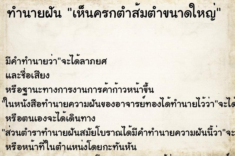 ทำนายฝัน เห็นครกตำส้มตำขนาดใหญ่ ตำราโบราณ แม่นที่สุดในโลก