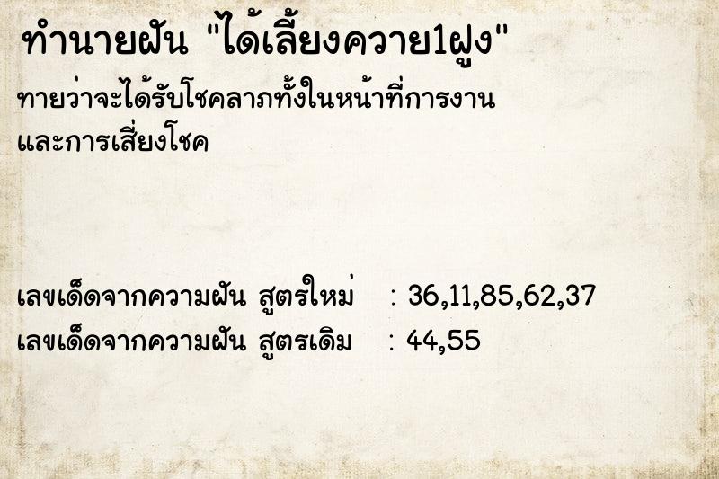 ทำนายฝัน ได้เลี้ยงควาย1ฝูง